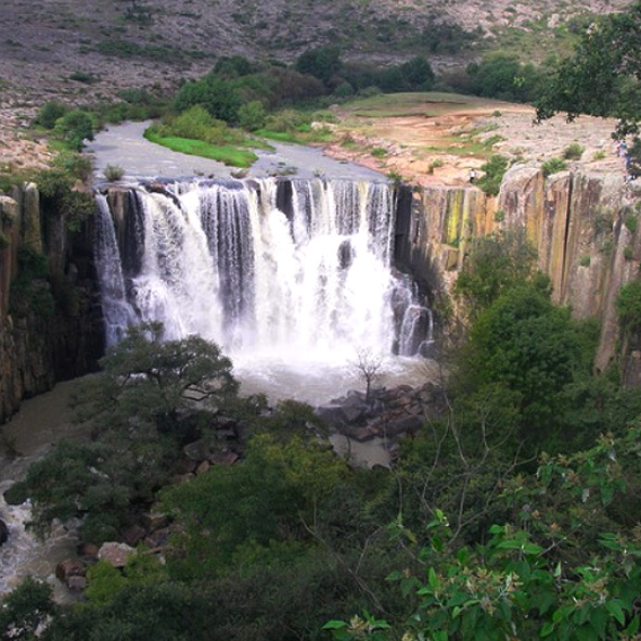 Cascada “El Mogote” 
